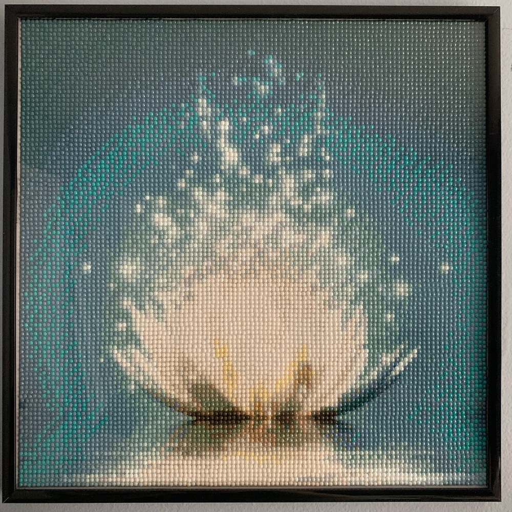 Framed Completed Diamond Painting